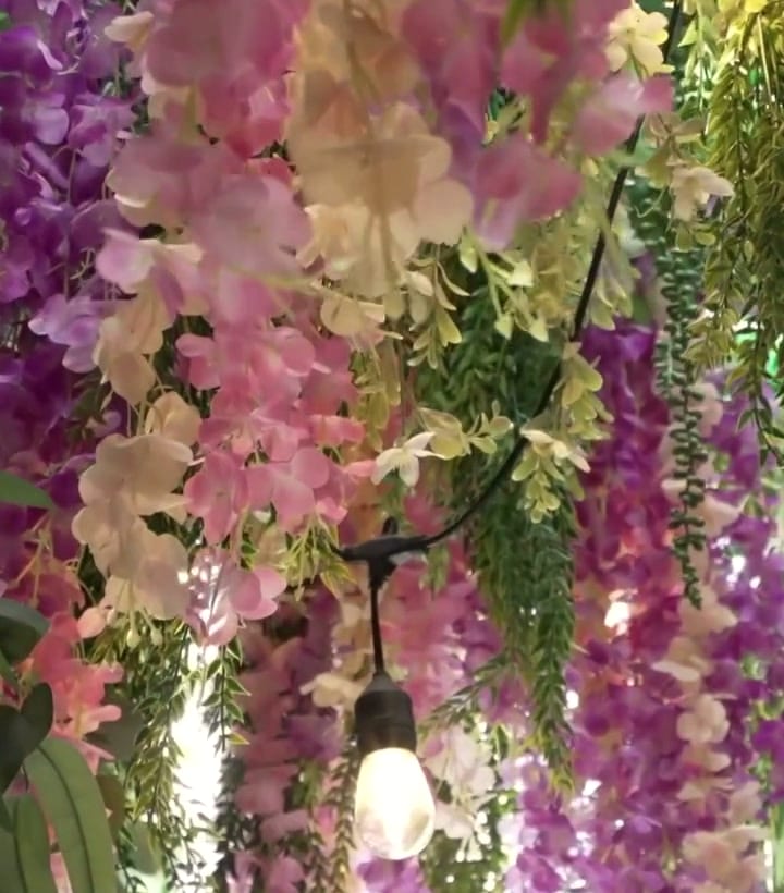 Wisteria, lanterns and fairy lights above the wizard-themed children’s room at Shirland Dental, Queen’s Park