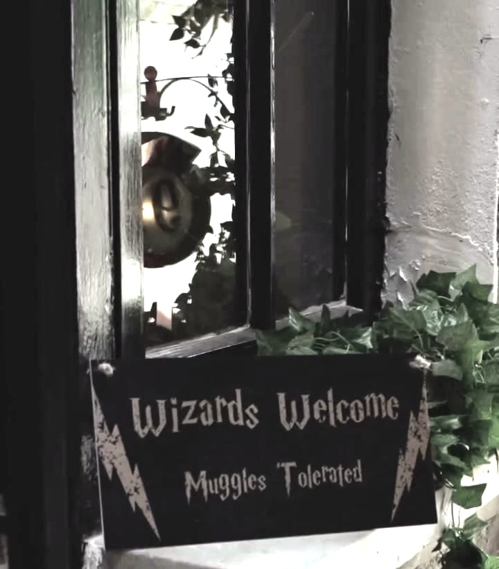 A sign reading Wizards Welcome, Muggles Tolerated beside an ivy-covered window in the children's room at the Queen's Park practice